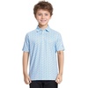 image:imageM MAELREG Boys Polo Shirt Short Sleeve Performance Dry Fit Stretch Funny Print Active Casual Collared Golf Shirts for BoyBlue Dinosaur