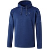 Mg02- Cobalt Heather