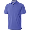 Bluish Violet